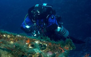 meandmyrEvo-26-02-16-DavidEngelen