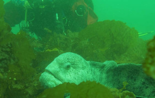 meandmyrEvo Don Zahn