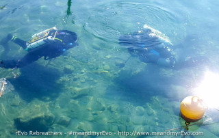 meandmyrEvo-martin-michel-30-03-16-1