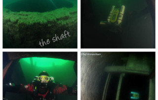 meandmyrEvo-marcus-prothmann