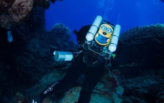 meandmyrEvo-kamel-benabid-17-05-17-1