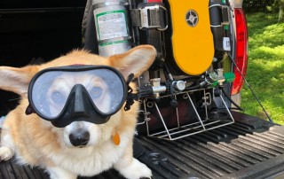 meandmyrEvo - Chris Welch