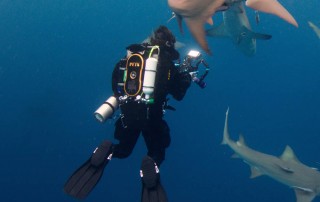 meandmyrEvo - Peter Bucknell