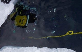 meandmyrEvo - Chuck Eddy