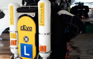 meandmyrEvo - Alain Buttet