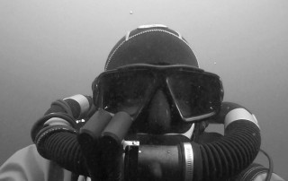 meandmyrEvo - Stijn Vandenberghe