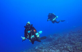 meandmyrEvo - Jean Bottequin