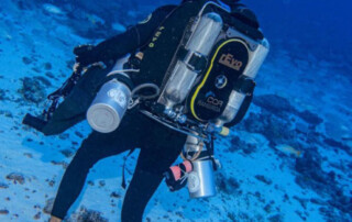 meandmyrEvo - Jean-Louis Jacquelle