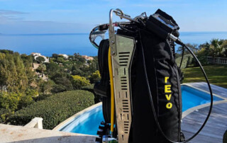 meandmyrEvo - Paul Georges