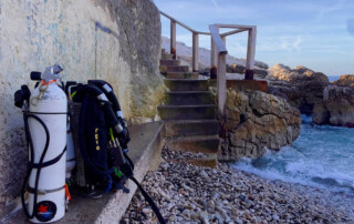 meandmyrEvo - Vincent Defossez