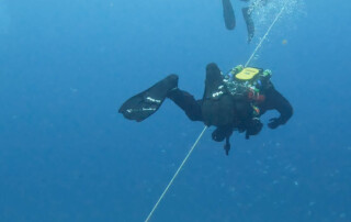 meandmyrEvo - Jose Pablo Mir