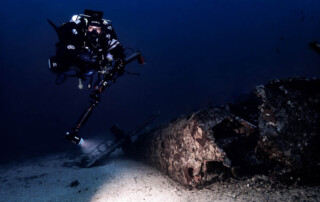 meandmyrEvo - Morgane Bouhenic