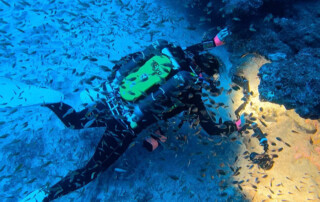 meandmyrEvo - Florence Pitchon