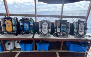 meandmyrEvo - Alain Lepoittevin