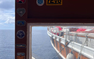 meandmyrEvo - Alain Lepoittevin