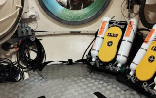 meandmyrEvo - Guillaume Dupuis