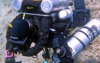 meandmyrEvo - Linda Parker