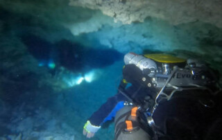 meandmyrEvo - Peter Haaf