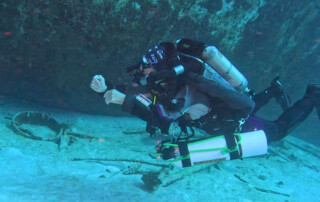 meandmyrEvo - Bertrand Gaillaux