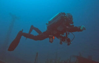 meandmyrEvo - Bertand Gaillaux