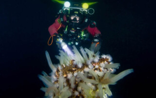 meandmyrEvo - Roel Verhoeven