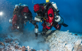 meandmyrEvo - Thibault Rauby