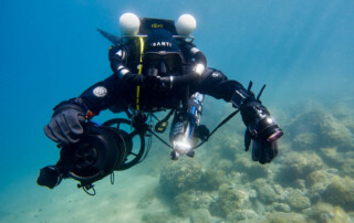 meandmyrEvo - Georg Lichtenschopf