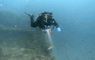 meandmyrEvo - Helmut Herold