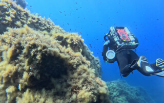 meandmyrEvo - Jean-Guy Vivoni