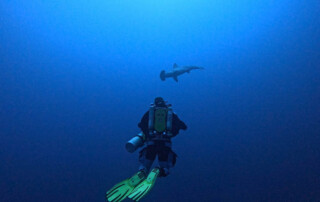 meandmyrEvo - Marcin Pietrasik