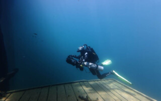 meandmyrEvo - Sebastian Müller