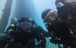 meandmyrEvo - Sebastian Müller