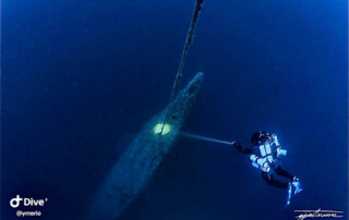 meandmyrEvo - Yme Carsana