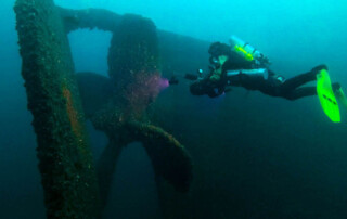 meandmyrEvo - Cindy Lynch