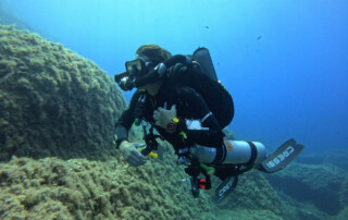 meandmyrEvo - Jean-Guy Vivoni