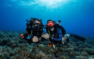 meandmyrEvo - Jean-Louis Jacquelle