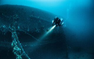 meandmyrEvo - Volkan Turkay