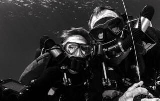 meandmyrEvo - Cecile Jacquelle