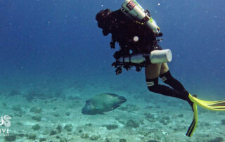 meandmyrEvo - Jean Bottequin