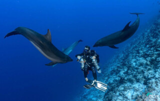 meandmyrEvo - Jean-Louis Jacquelle