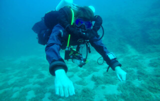 meandmyrEvo - Marcos Simón Pardos