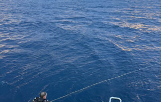 meandmyrEvo - Markus Teupe