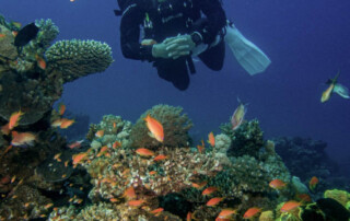 meandmyrEvo - Rajae Joury