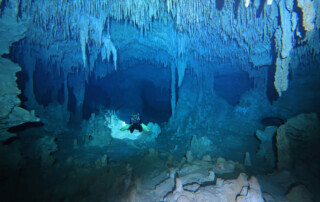 meandmyrEvo - Sebastian Müller