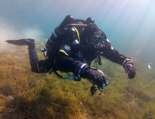 meandmyrEvo – Lake Attersee