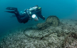 meandmyrEvo - Giuseppe Pastoressa