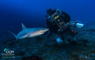 meandmyrEvo - Jean-Louis Jacquelle