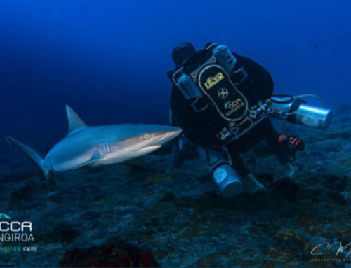 meandmyrEvo – Just behind my rEvo