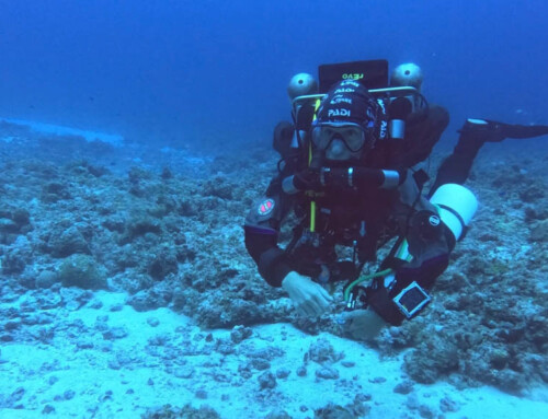 meandmyrEvo – Diving into Mauritius