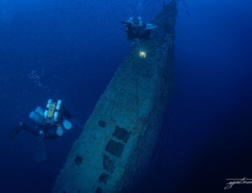 meandmyrEvo – UBoot 455